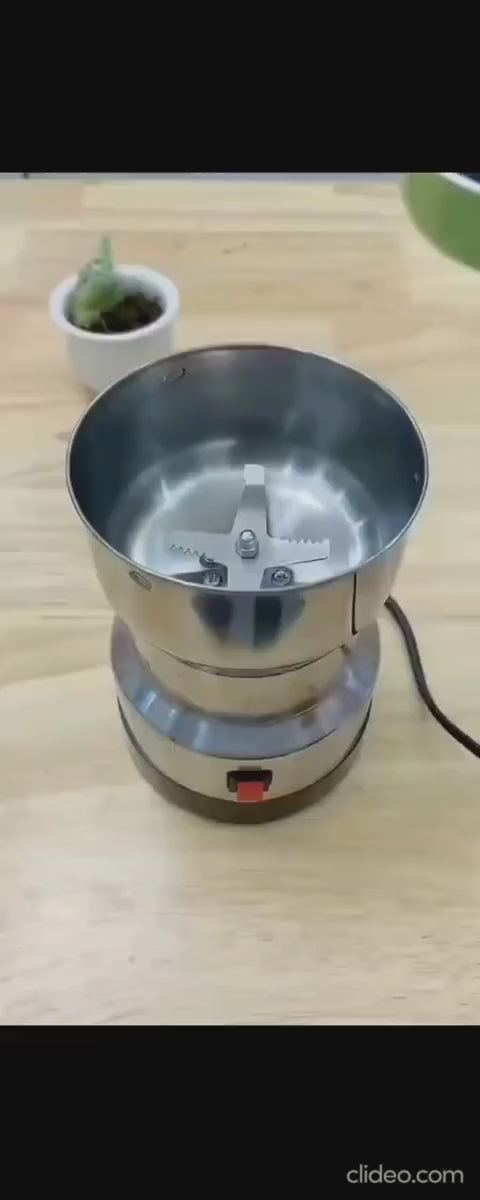 RAF Professional Electric Coffee & Spice Grinder – 300W High-Power Stainless Steel Masala Grinder